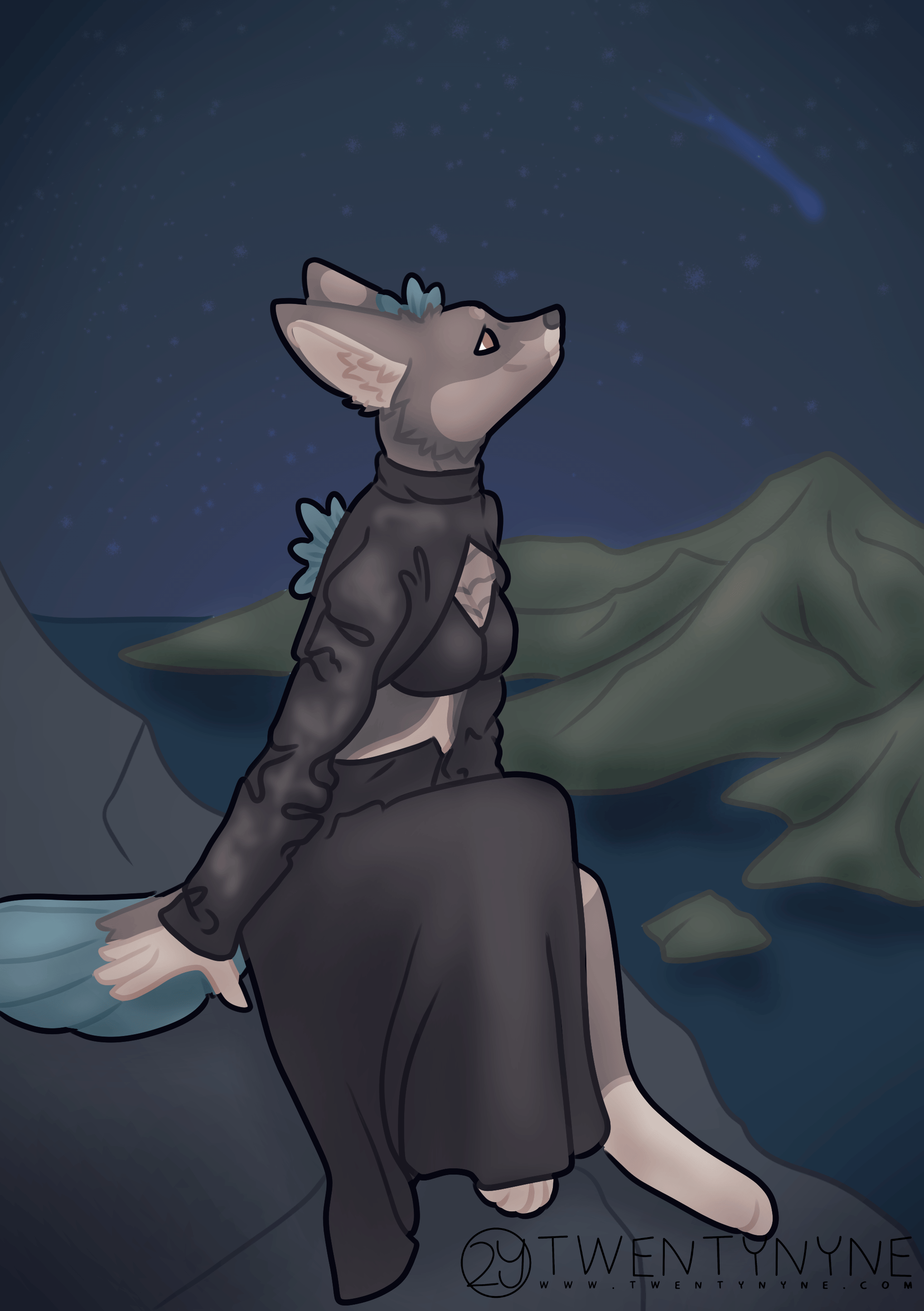 a digital illustration of an anthro bird/fox sitting on the edge of a rock looking at the dark sky over the mountains