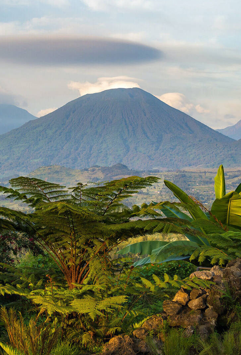 RWANDA - TWIGA TOURS