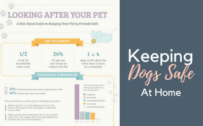 Tips for looking after your pet – With Wayfair