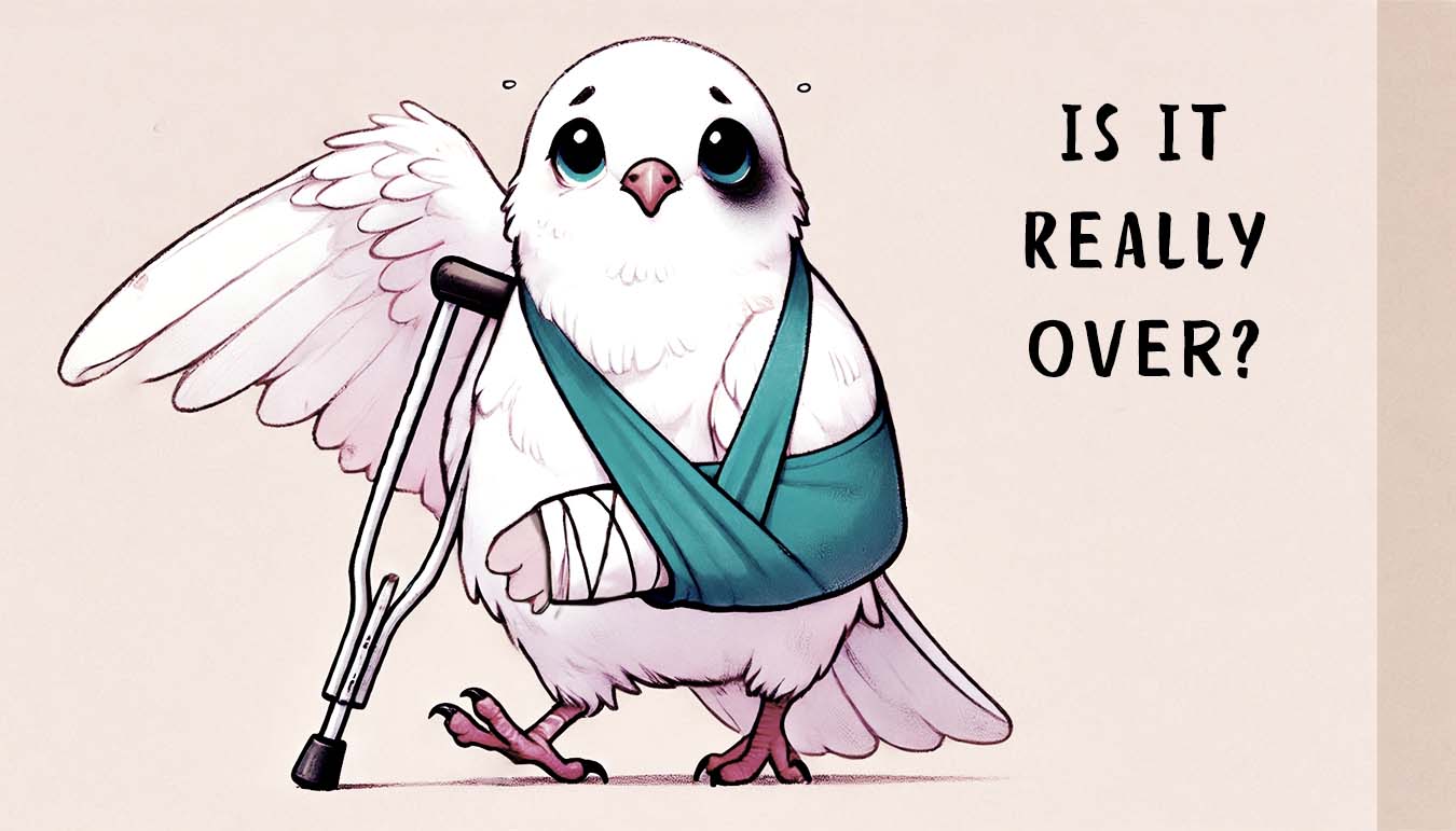 Peace requires a lot of work and support