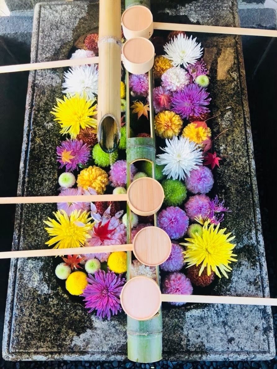 the New Year and Learn Japanese Flower Arranging with the Japan