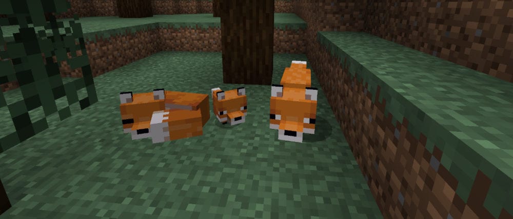 Minecraft How To Tame Foxes