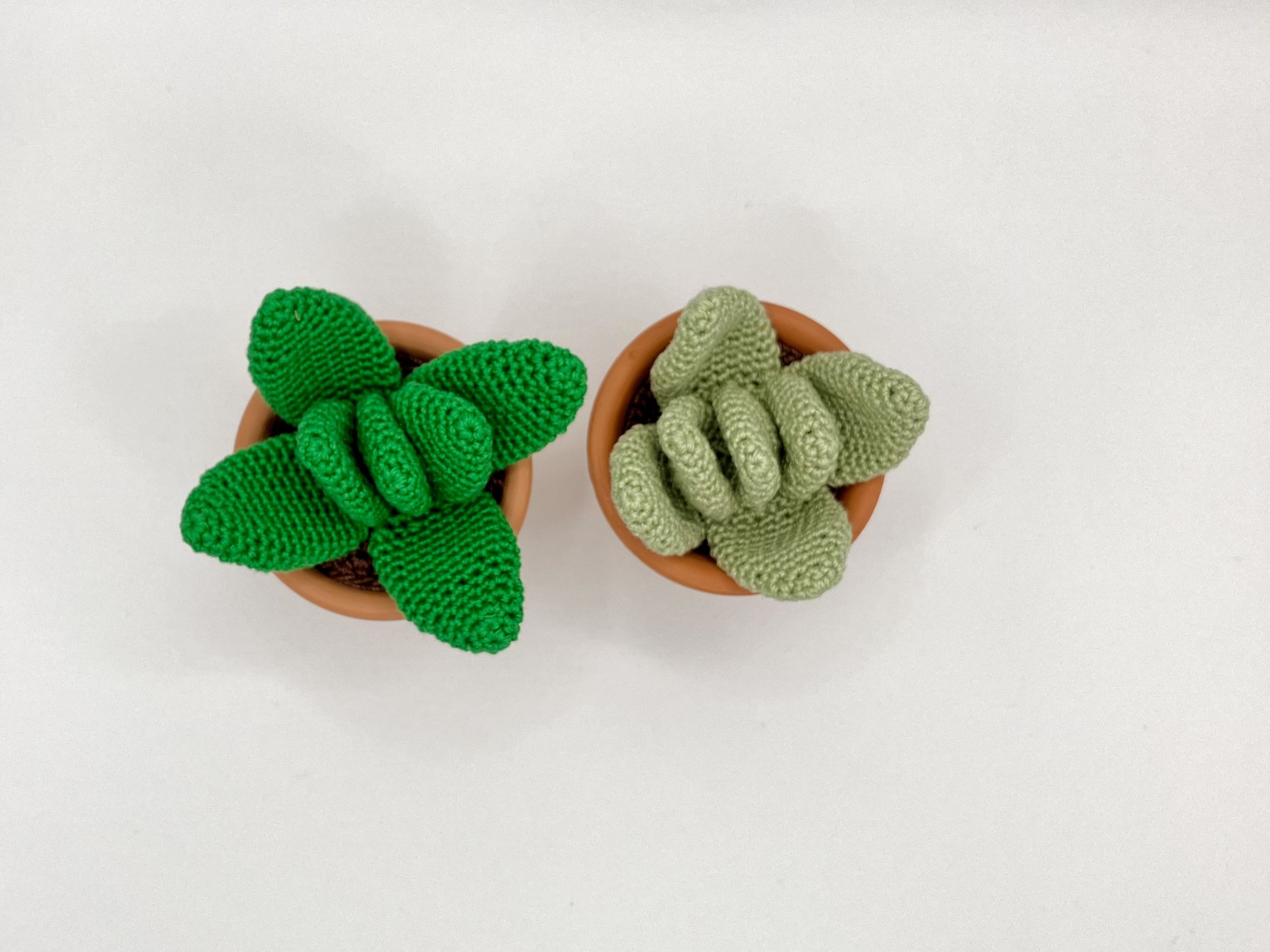 Small dark green, and light green crochet succulent plants in real clay pots