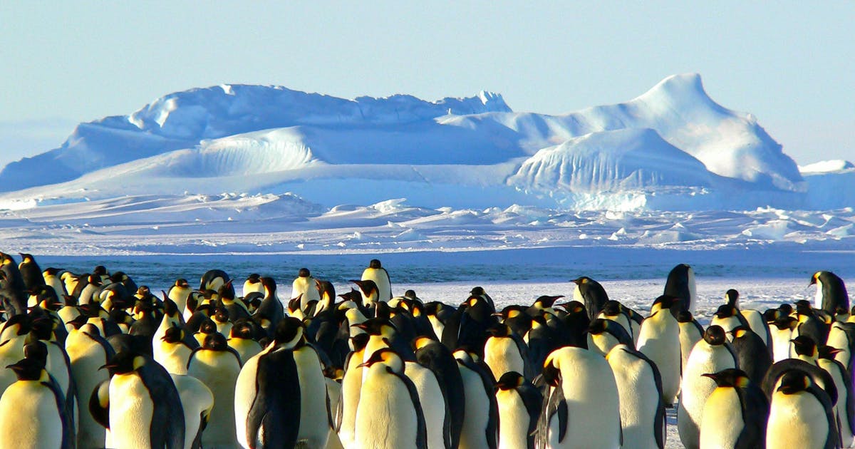 Why Unchecked Greenhouse Gas Emissions Could Lead to Antarctica’s Melting by 2100: The Role of Atmospheric Rivers Why Unchecked Greenhouse Gas Emissions Could Lead to Antarctica’s Melting by 2100: The Role of Atmospheric Rivers