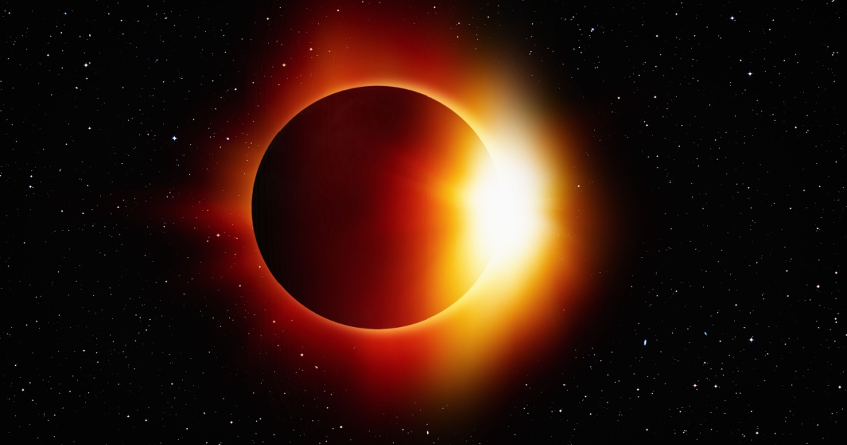 Bird Behavior During Total Solar Eclipses: Unlocking the Secrets (2026)