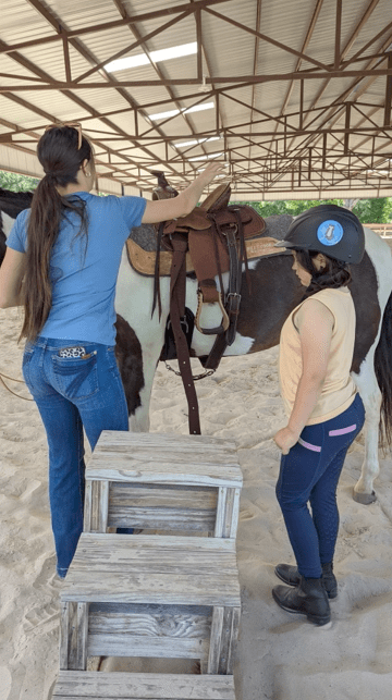 Horse Riding Lessons Near Conroe Texas