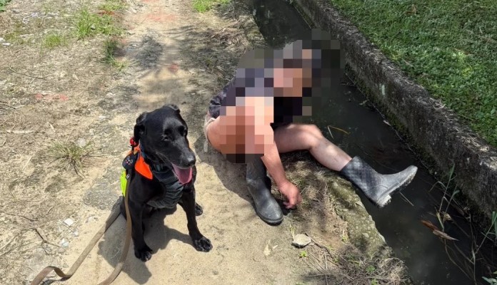 桃園消防搜救犬EMMA立大功 平鎮婦倒菜園被尋獲 桃園消防搜救犬EMMA立大功 平鎮婦倒菜園被尋獲