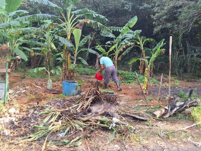 桃園農地濃煙狂竄!偷燒稻草遭環保局查獲 最高恐挨罰10萬 桃園農地濃煙狂竄!偷燒稻草遭環保局查獲 最高恐挨罰10萬
