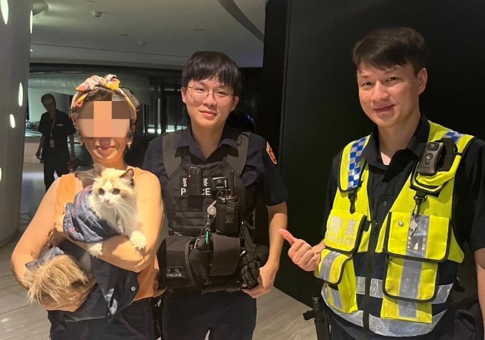 愛貓跳窗困高處橫樑!中壢警出奇招 靠「小被被」助脫困 愛貓跳窗困高處橫樑!中壢警出奇招 靠「小被被」助脫困