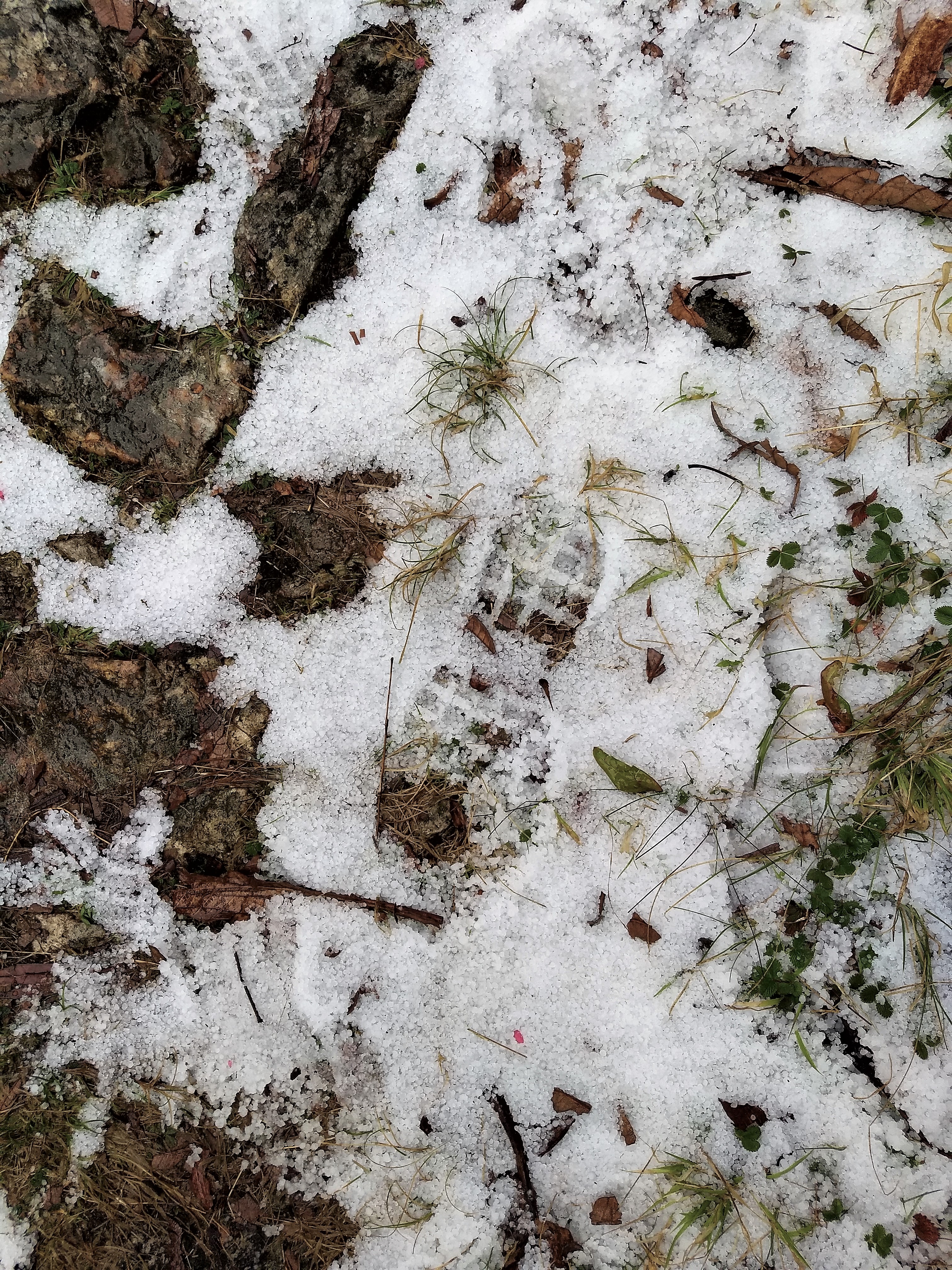 The only kind of footprints we left in the pristine sanctuary
