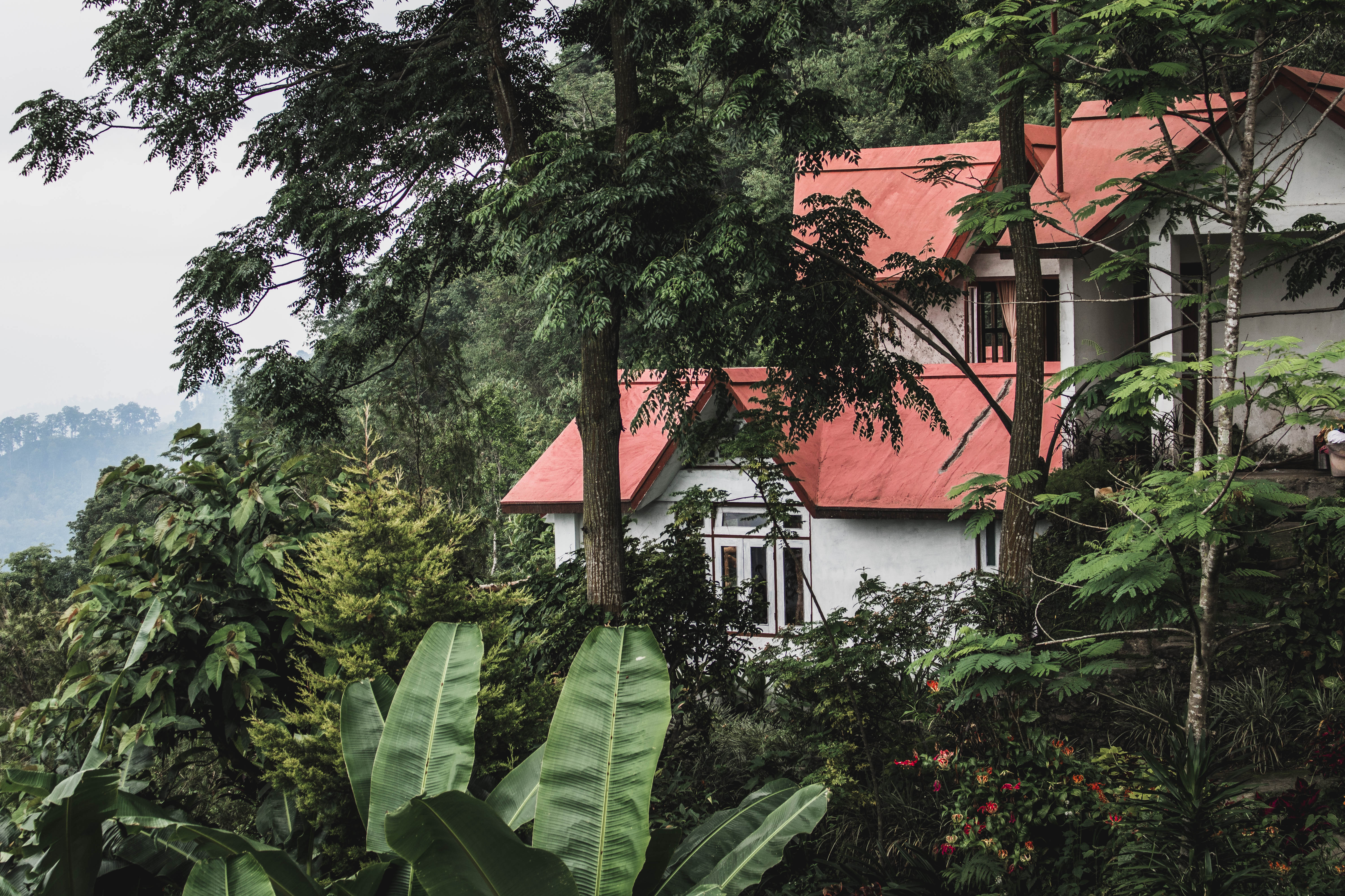Bara Mangwa Farmhouse