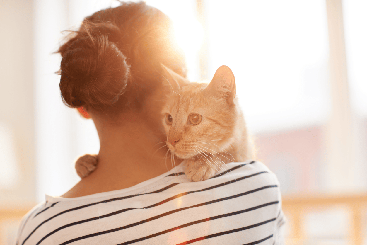 How to advocate for your cat