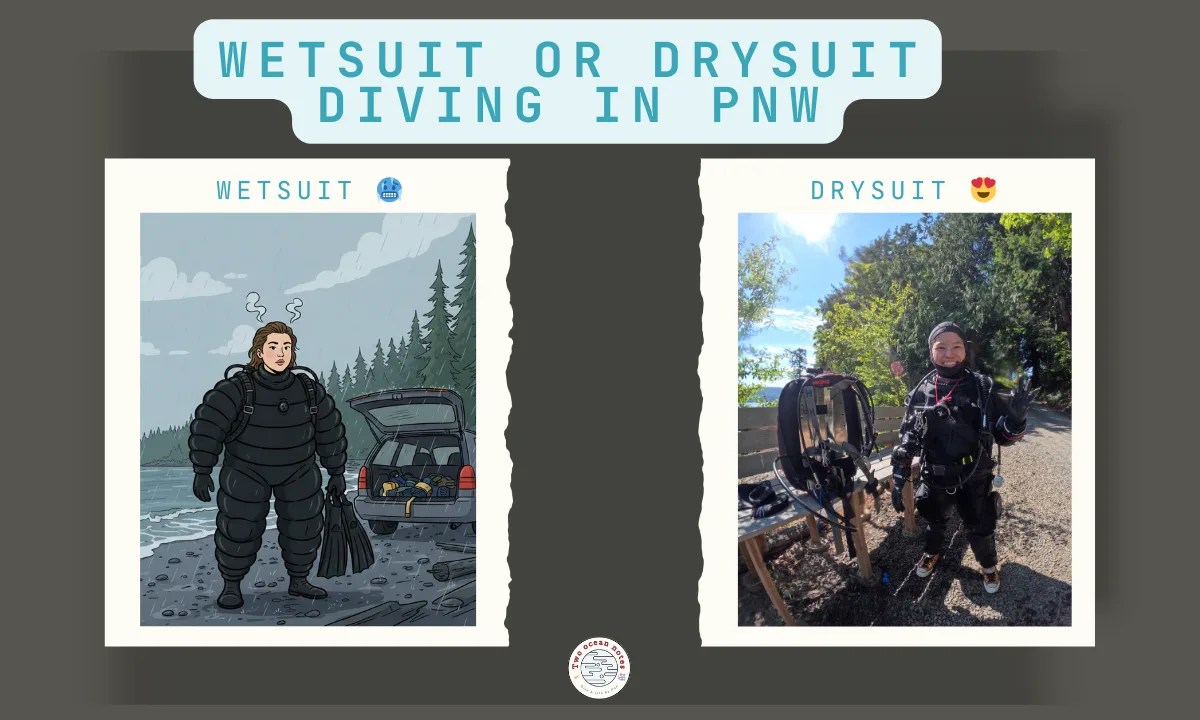 wetsuit or drysuit in PNW