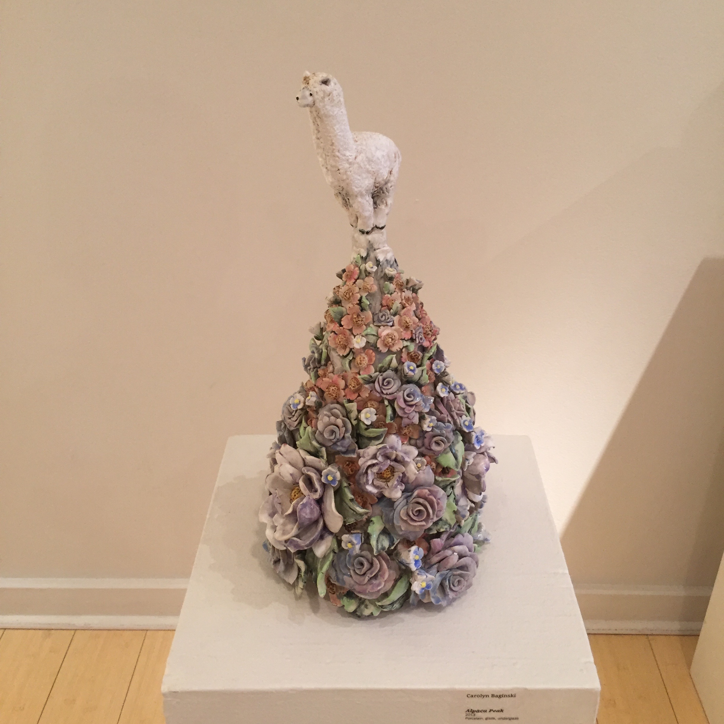 Alpaca Peak by Carolyn Baginski