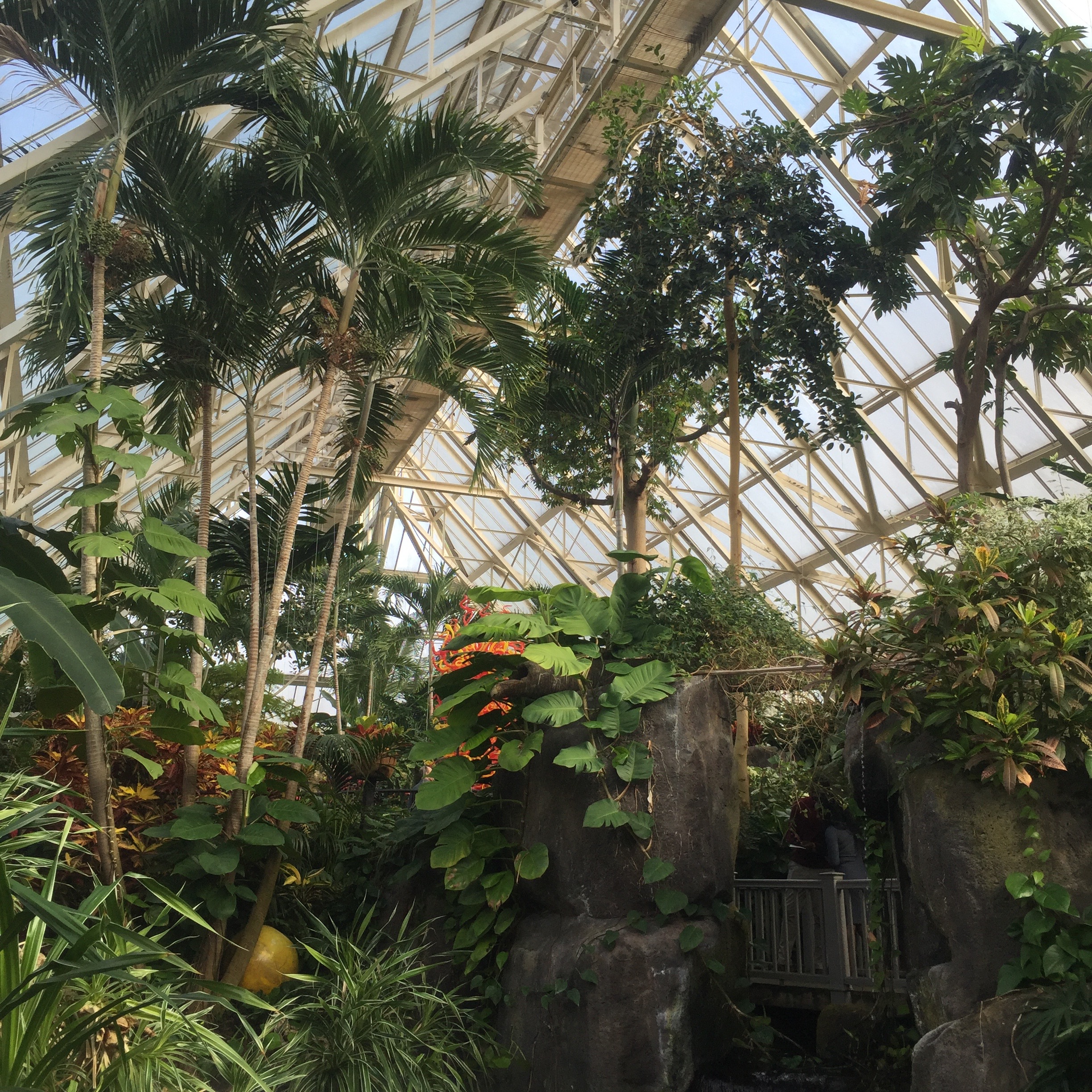Pacific Island Water Garden