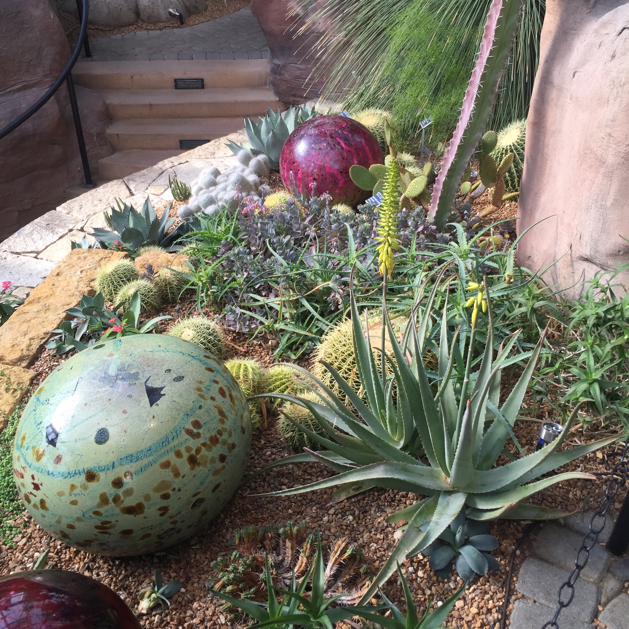 Desert