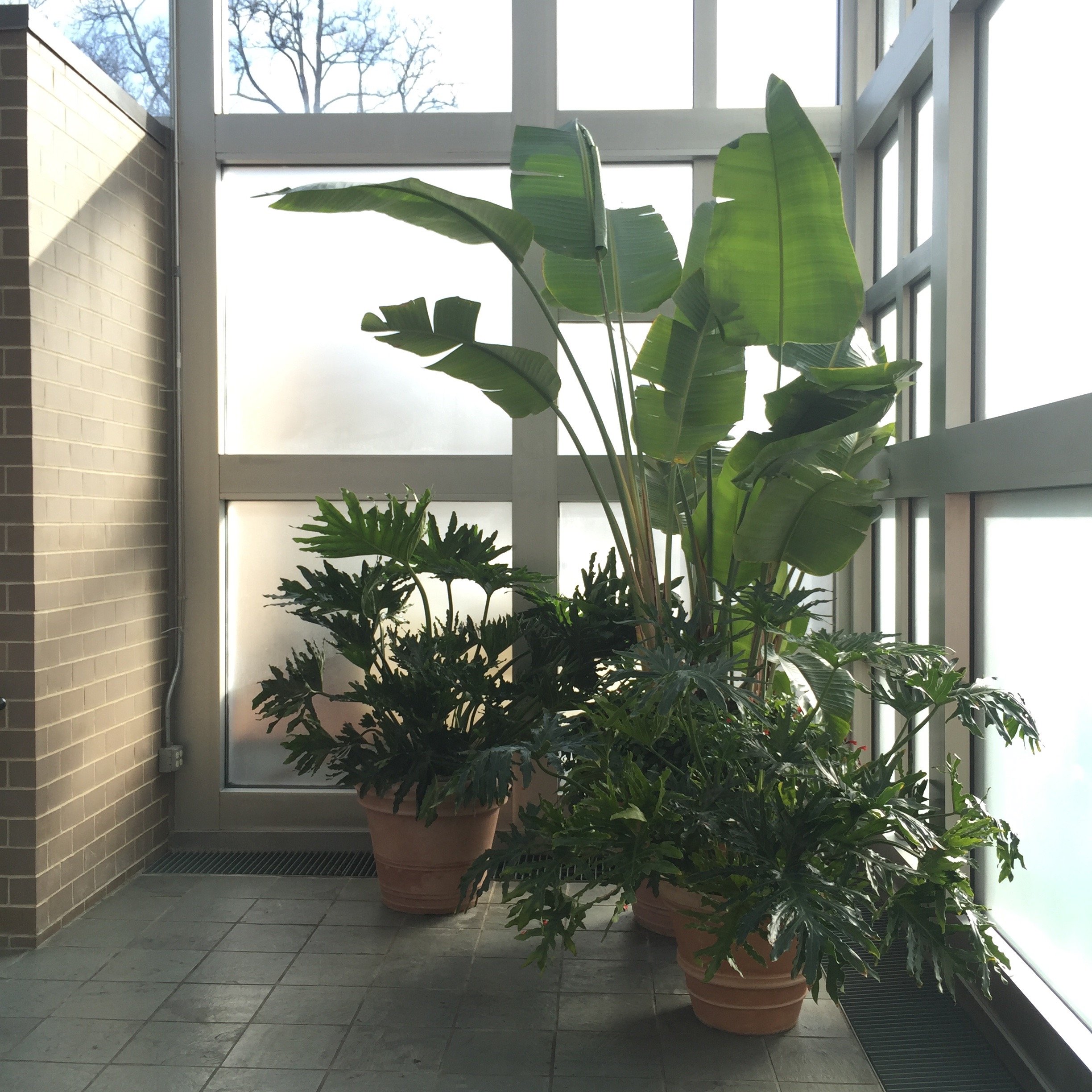 Stairway to Atrium