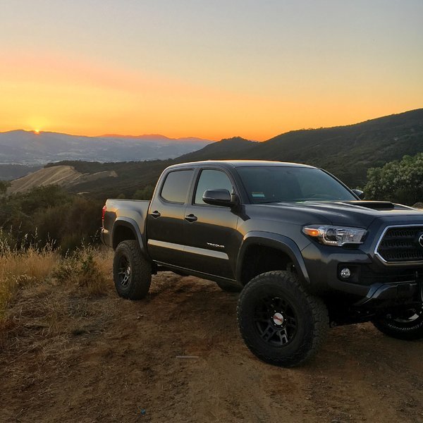 Lifted '16 tacomas