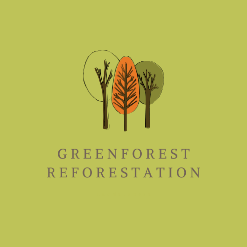 GreenForest Reforestation