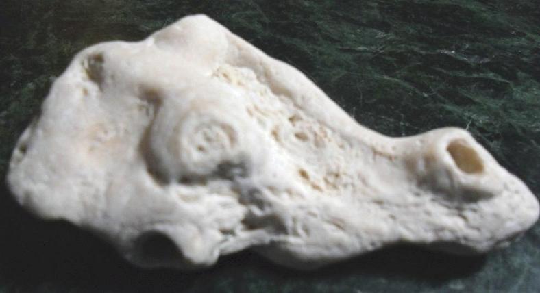 Tybee Tybee Island Island Beach Dolphins Fishing Vacation Family