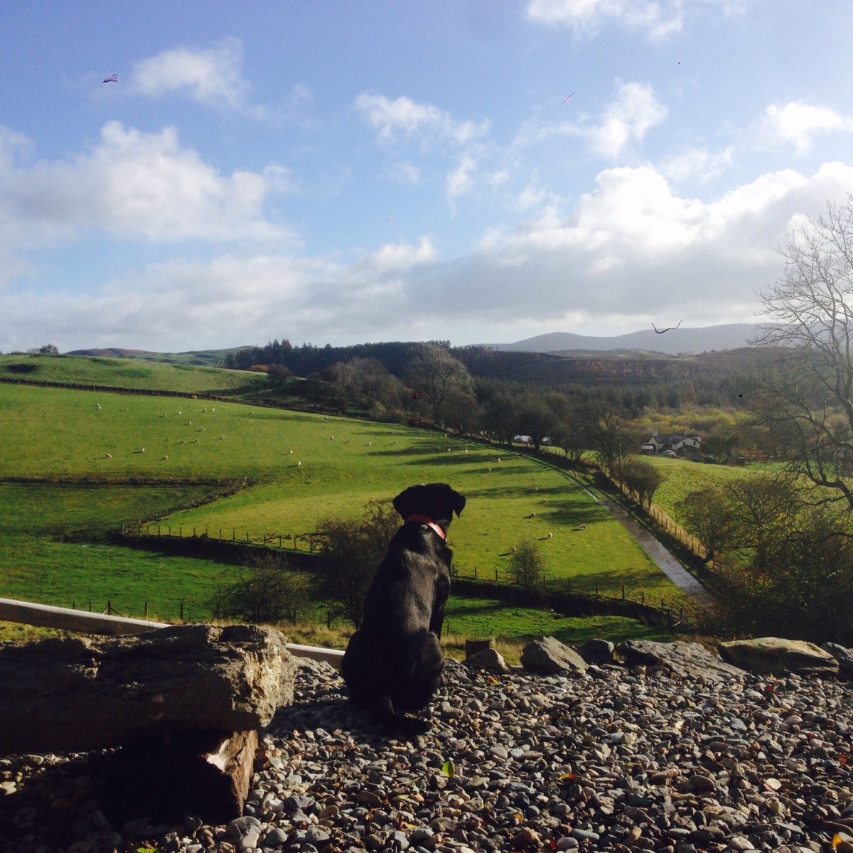 Berwyn mountains