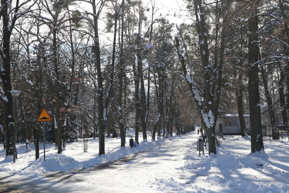 Park im. Powstańców Wielkopolskich 1918-1919 w Śremie zimą