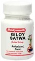 Baidyanath Giloy Satwa 40gm Pack of 1
