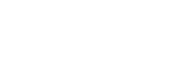 The Beans Team