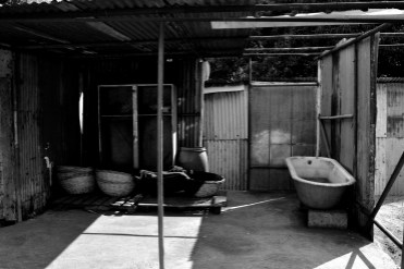 DSC_4875gimp - Copie