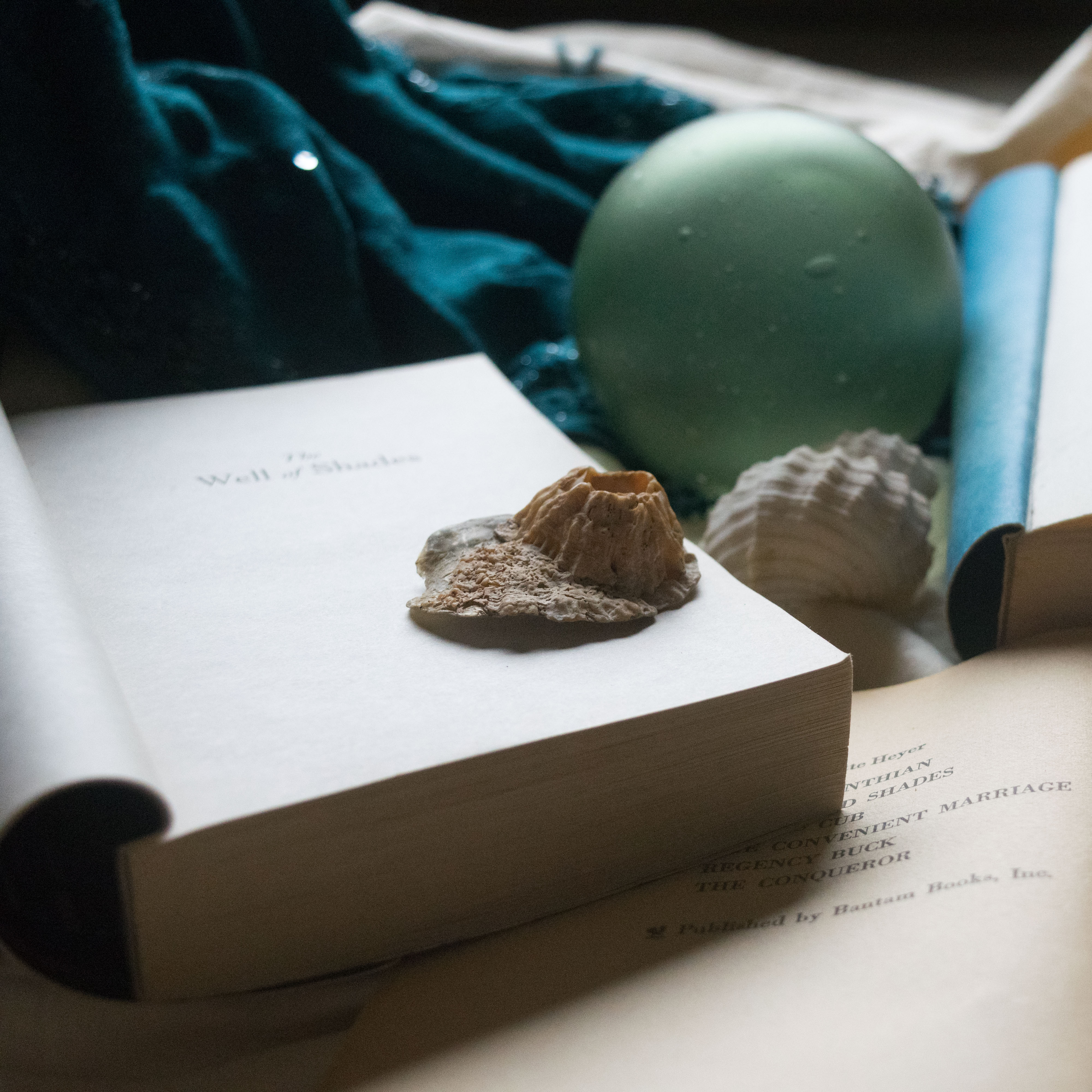 FishwifeWrites | www.tylerrosecounts.com | books | book recommendations | seafaring novels | books about pirates | what to read next
