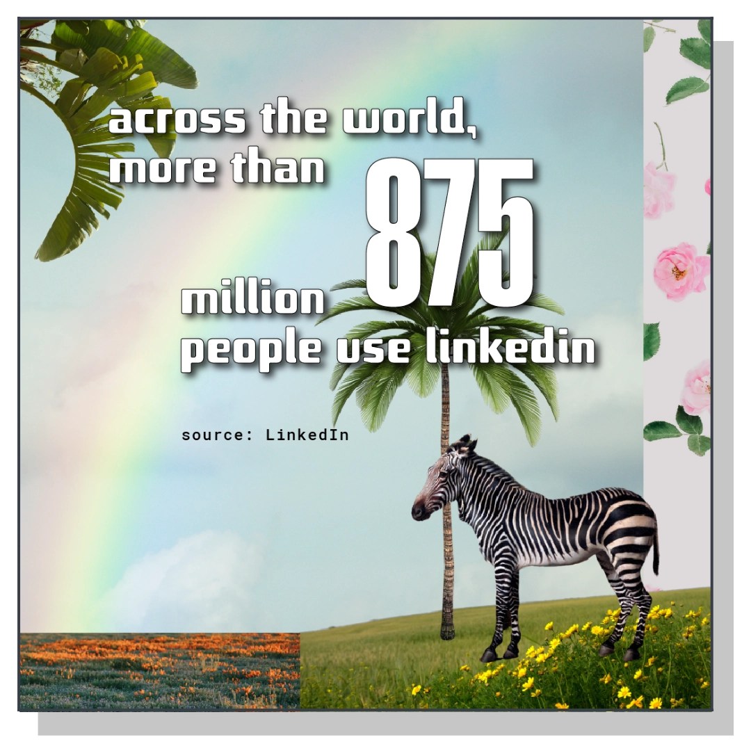 zebra collage with statistic