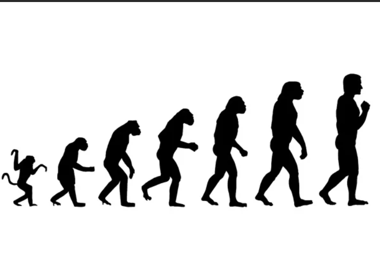 Evrim Teorisi - Vintage Textures - Professional Desktop Collection