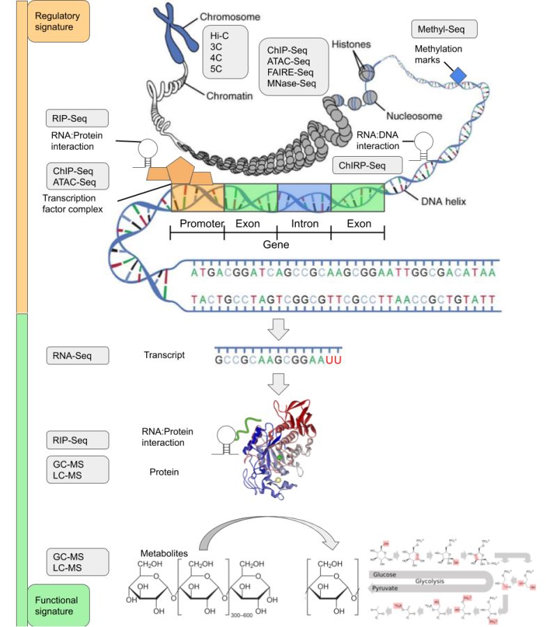 Tyrone Serdan Tyrone Serdan Github - Colorful Images - Artistic Ultra HD Collection