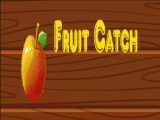 Fruit Catch Tyrone S Unblocked Games пёџ