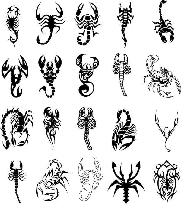 Ilustrasi Vektor Kalajengking Eps | Uidownload 675_x_600_jpg