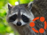 Ubuntu 26 04 Resolute Raccoon Daily Builds Now Available