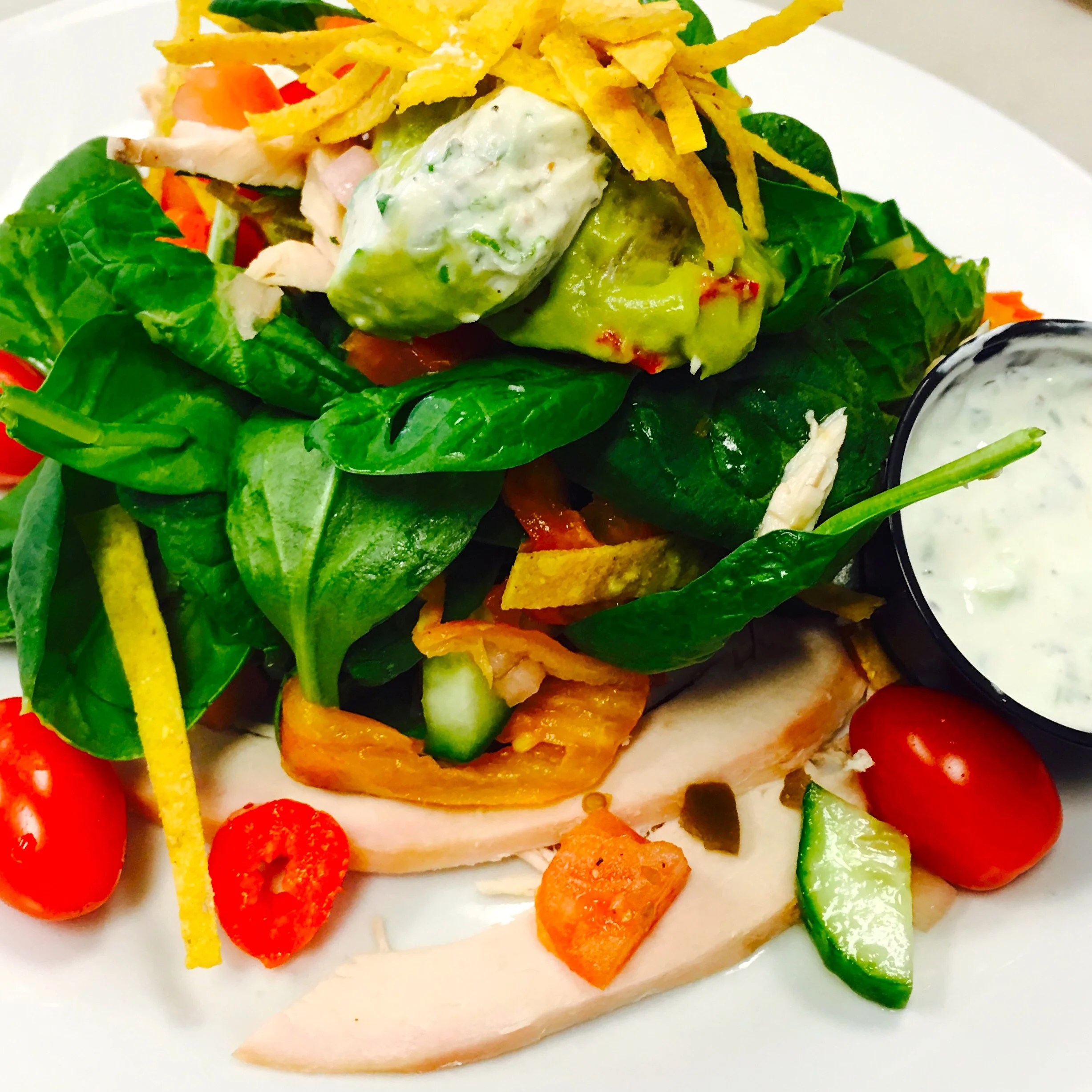 Wedgwood Cafe & Catering