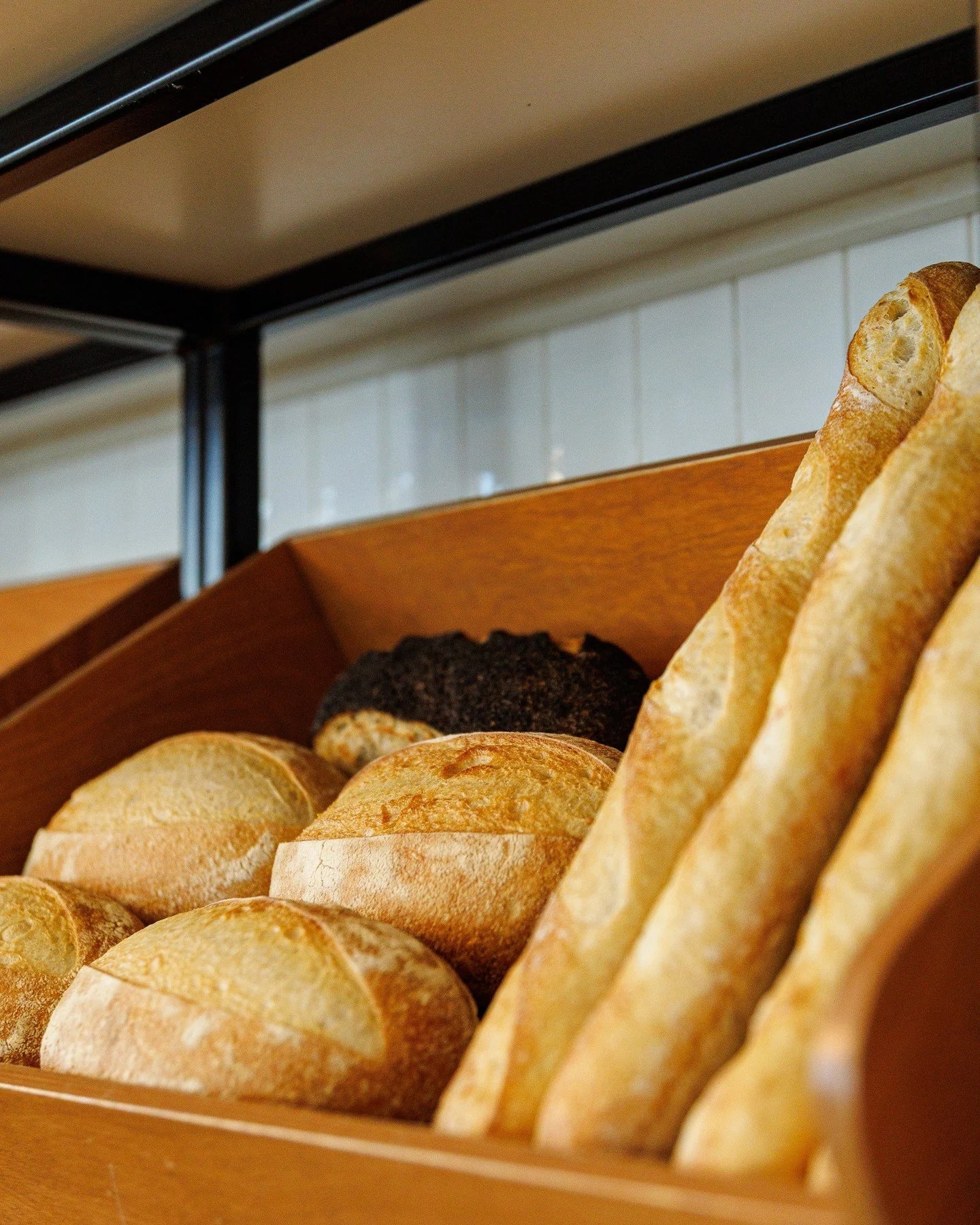 Pane e Circo