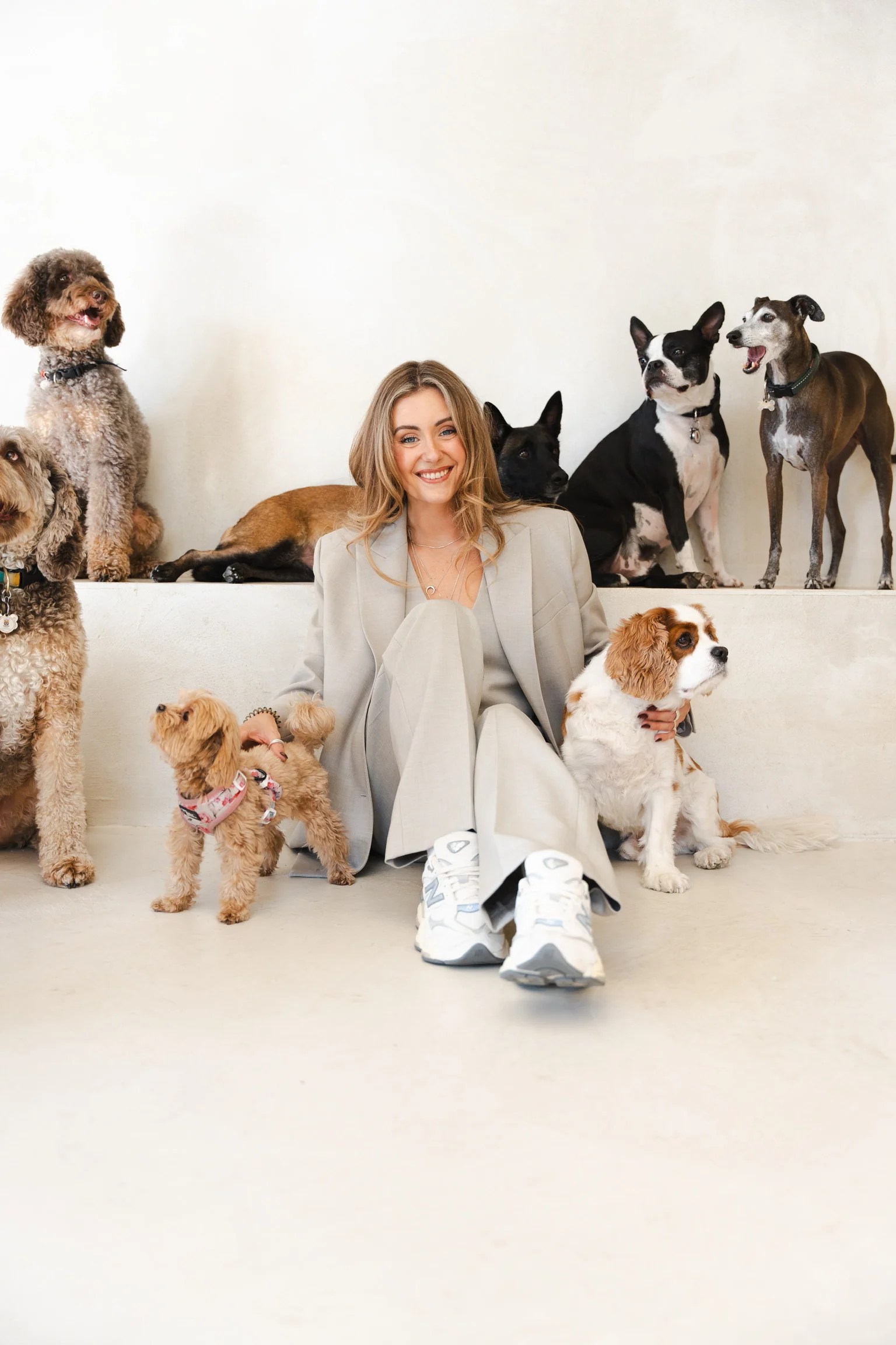 ATD Clubhouse (Pour Tous Les Chiens)