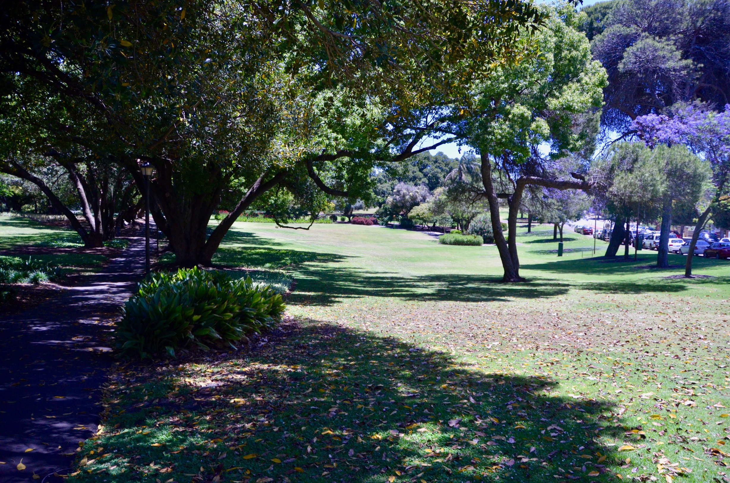 House For Sale In Hyde Park Walter Irvine 2 Bedrooms 1 Bathrooms 1 Car Spaces