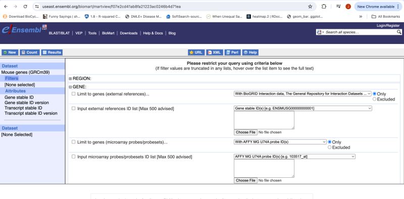 Microscopy Data Annotation For Biomedical Image Analysis - Sunset Arts - Incredible Ultra HD Collection