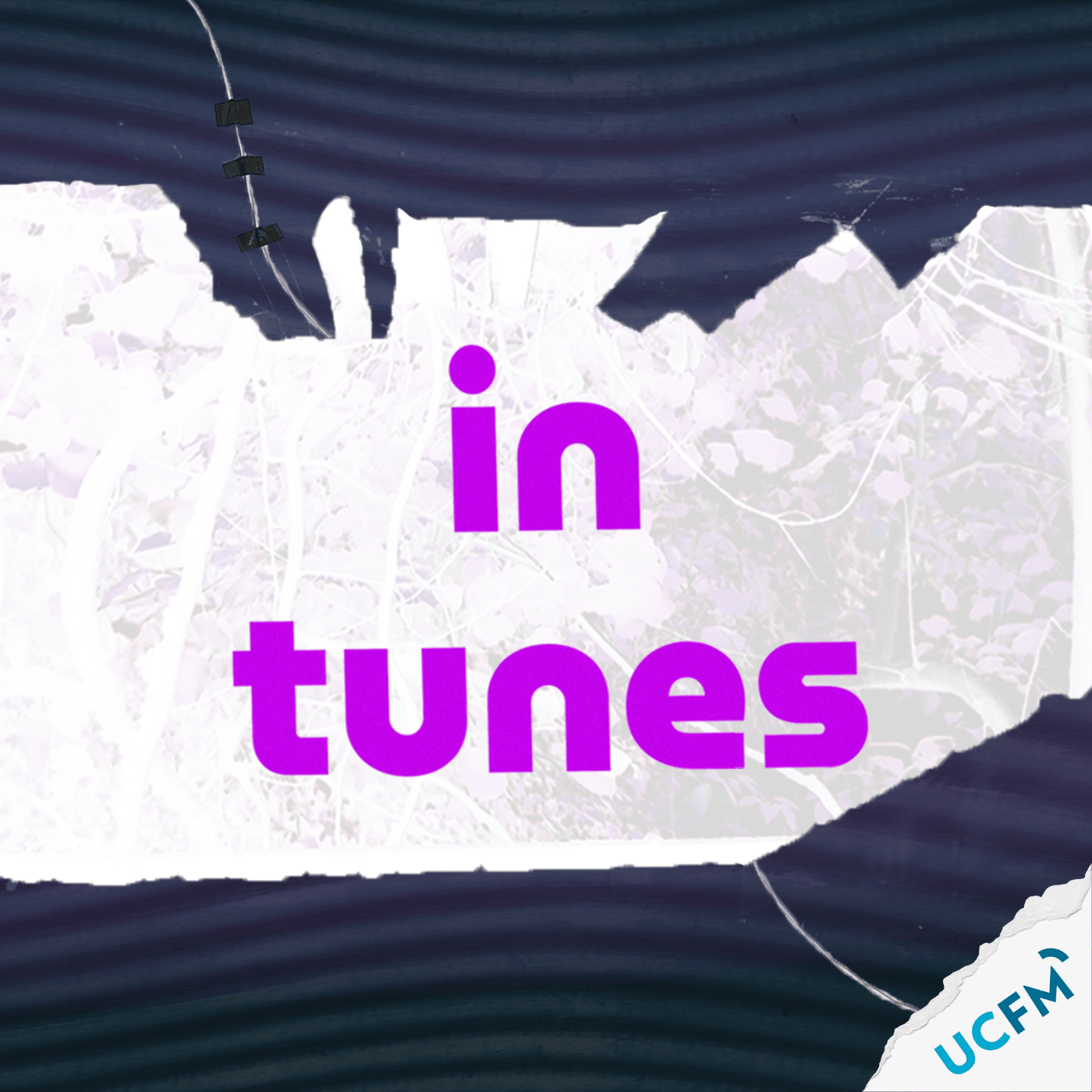 Cover image for In Tunes