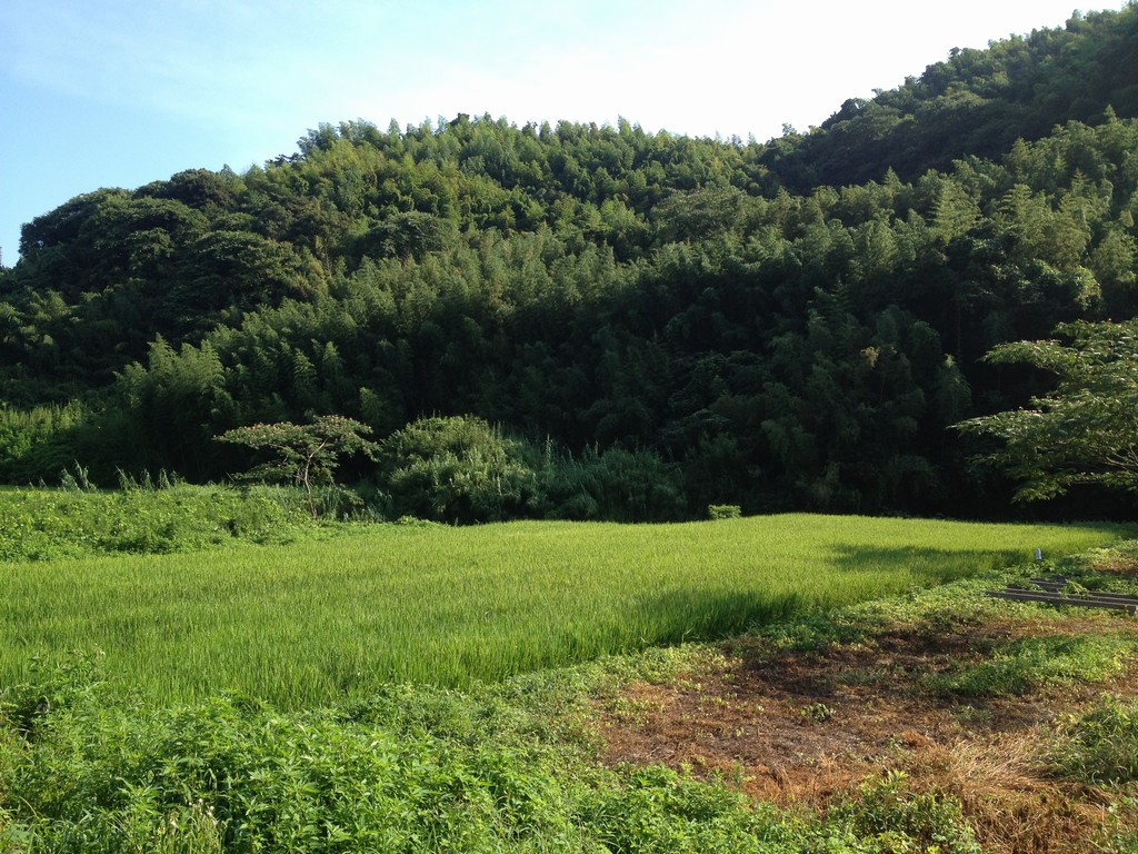 7/24　全体