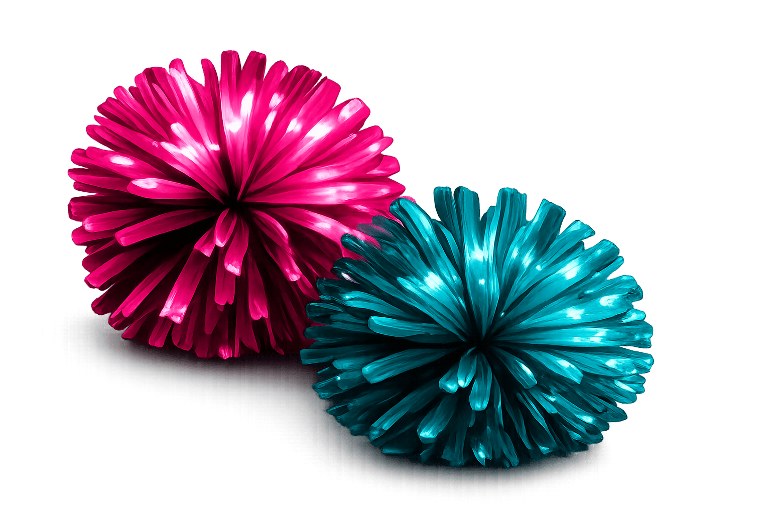 Pom Poms