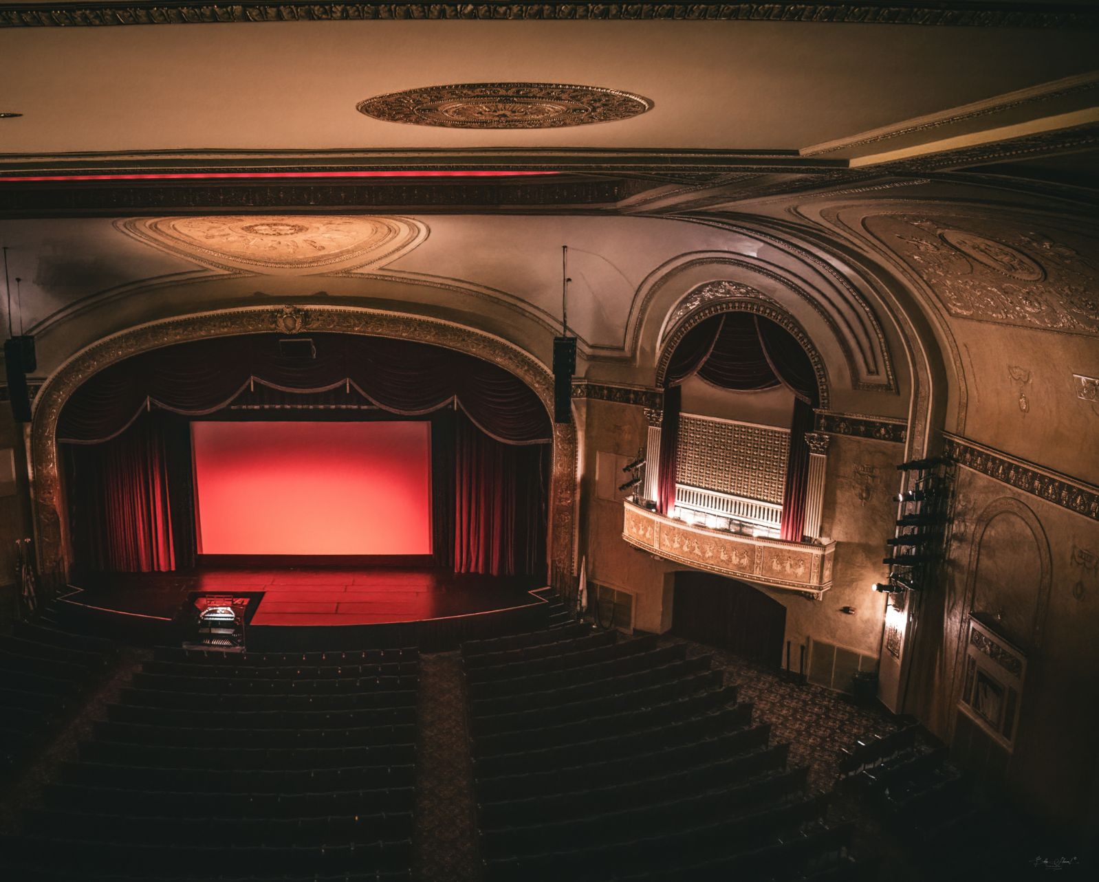 Organ Wide