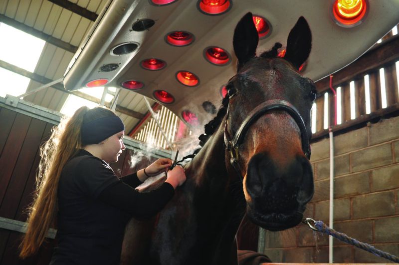 He Equine Applied Equine Behaviour Reaseheath College - Premium Colorful Photo Gallery - Ultra HD