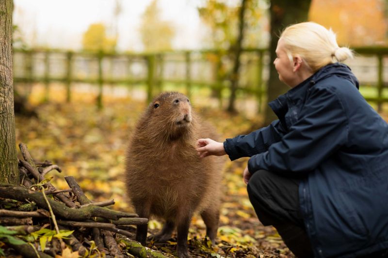 Animal Science University Centre Reaseheath - Retina City Patterns for Desktop