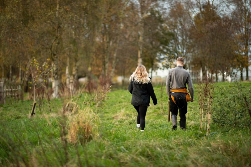 Landscape Architecture University Centre Reaseheath Degrees In Uk - Artistic Dark Background - 4K