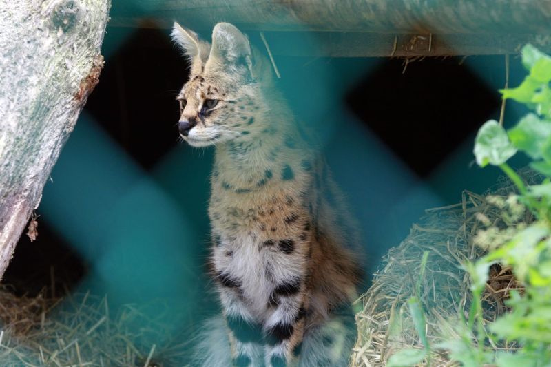 Foundation Degree Zoo Management University Centre Reaseheath - Sunset Wallpapers - Ultra HD Ultra HD Collection