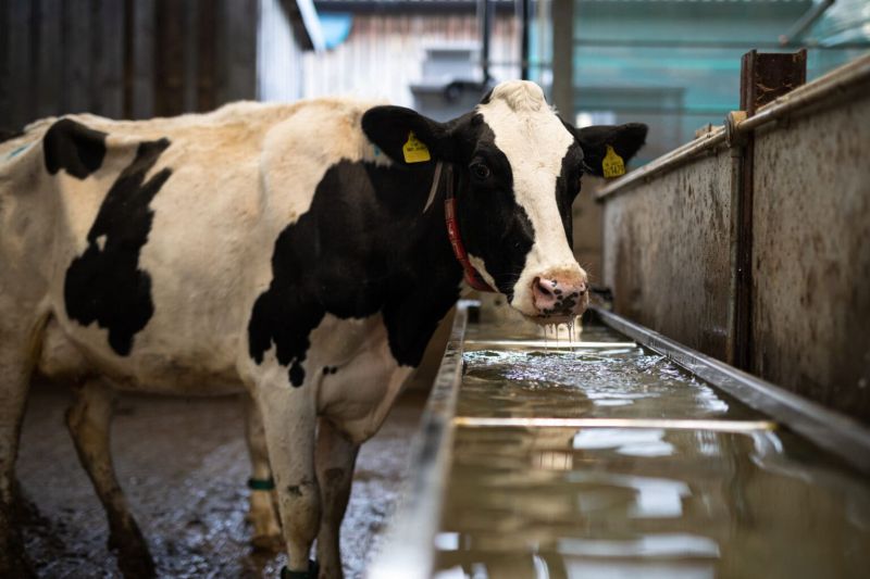 Fdsc Sustainable Agriculture With Crop Management Reaseheath College - Download Beautiful Space Picture | Mobile